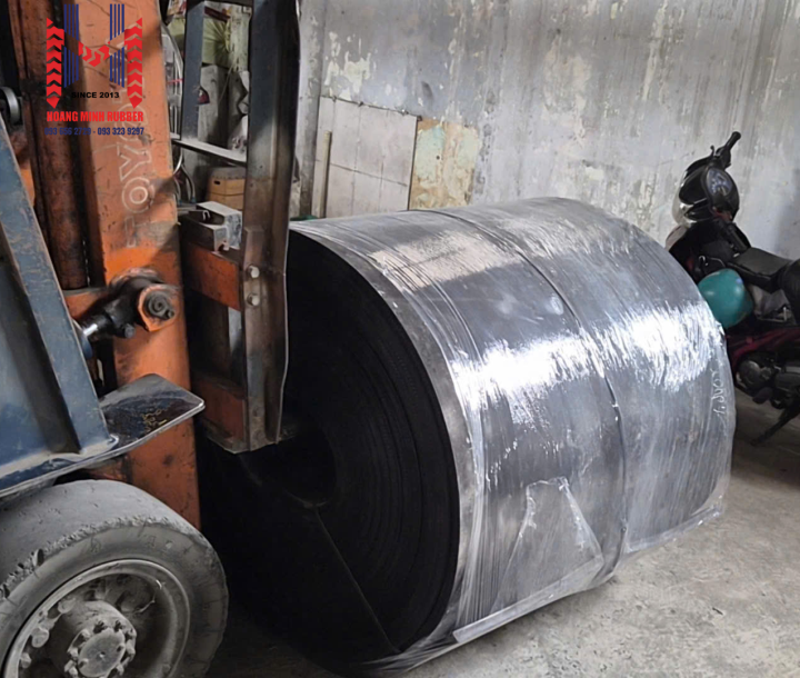 Băng tải Nhật cũ (Mới 90-95%)